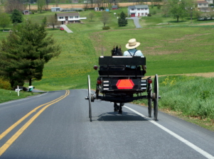 amish1.jpg