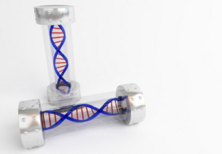 genome-in-a-bottle.jpg