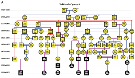 Tracing a 500-Year-Old Founder Mutation Using Genetic Genealogy - The ...