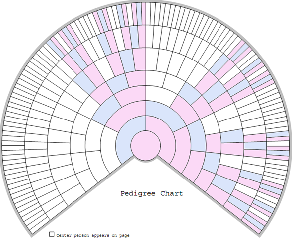 The Blundering DNA Genealogist: Basics: Generations Are Calculated