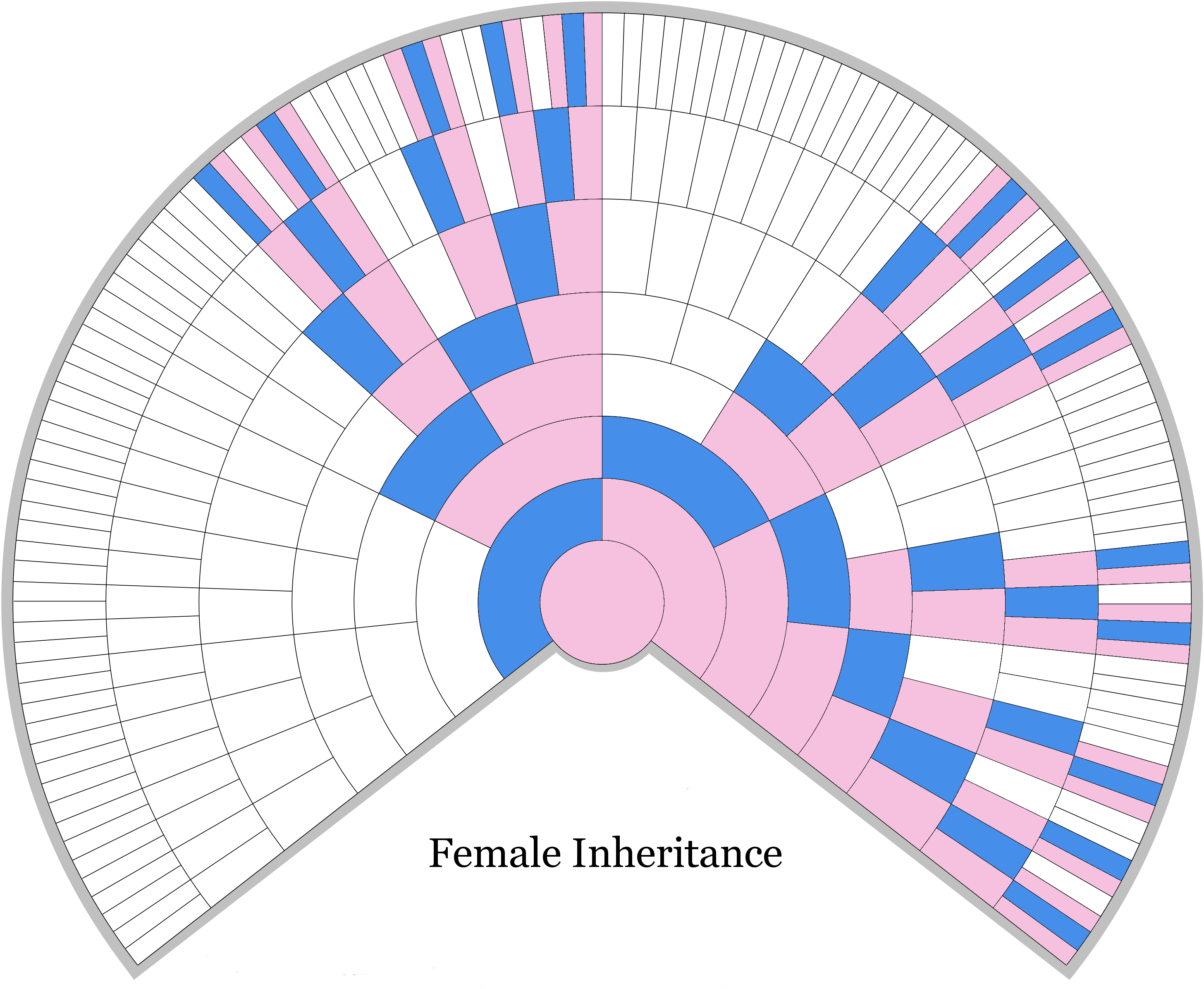 Chart Female