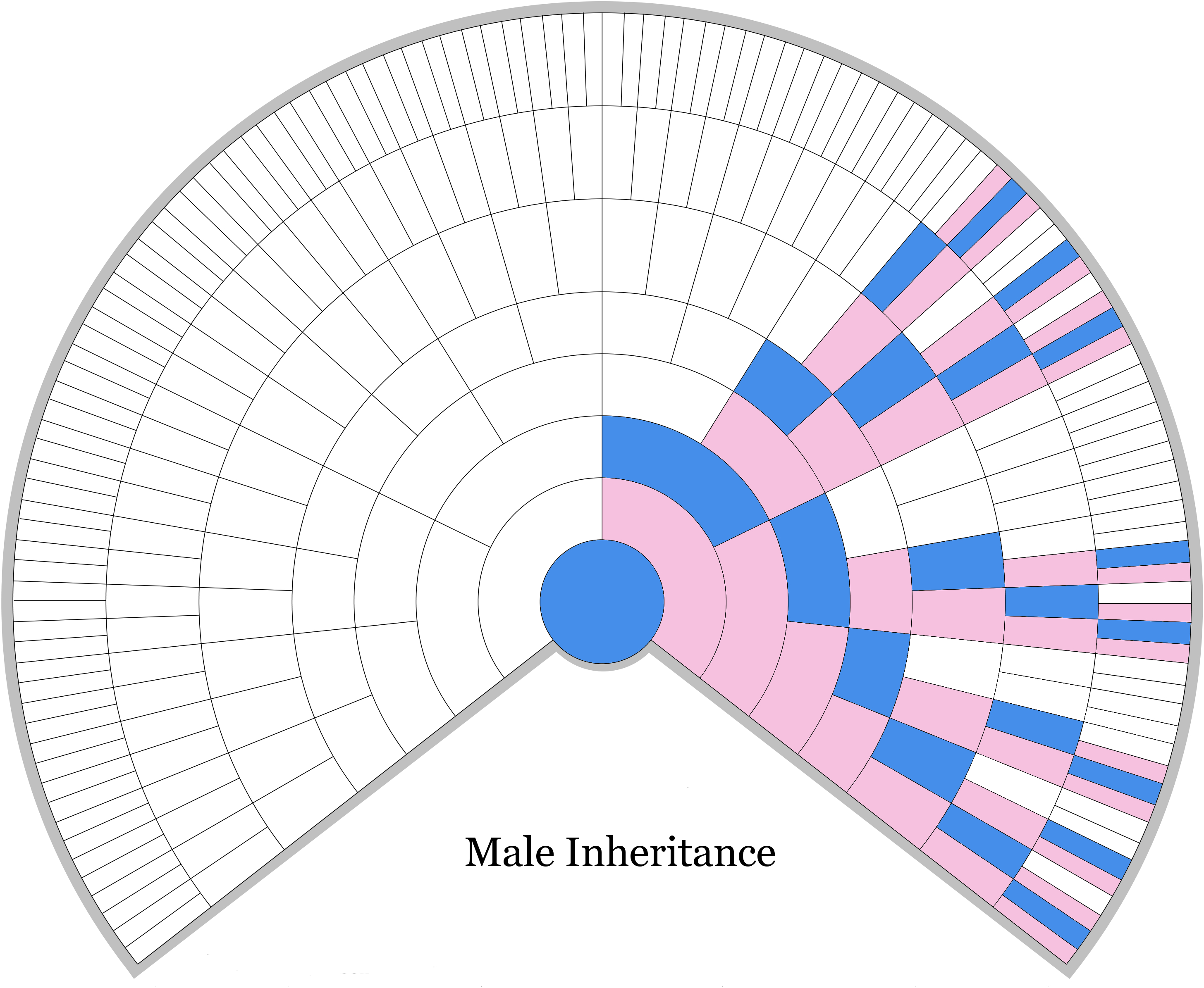 The Blundering DNA Genealogist: Basics: Generations Are Calculated