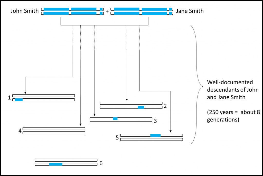 Segments of DNA from a couple in the mid-1700s are found in living descendants.  Some descendants (#4) will have none of their DNA.  Other relatives (#6) may have no documentation that they are related to the couple.