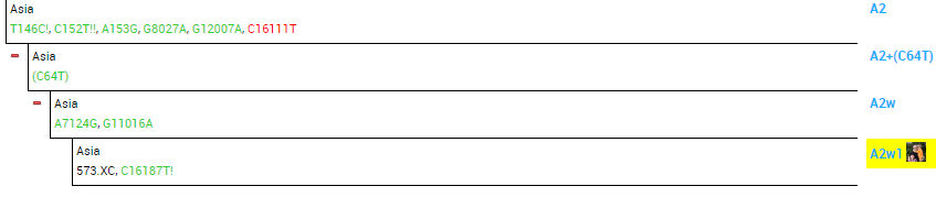 DNA Ancestry3