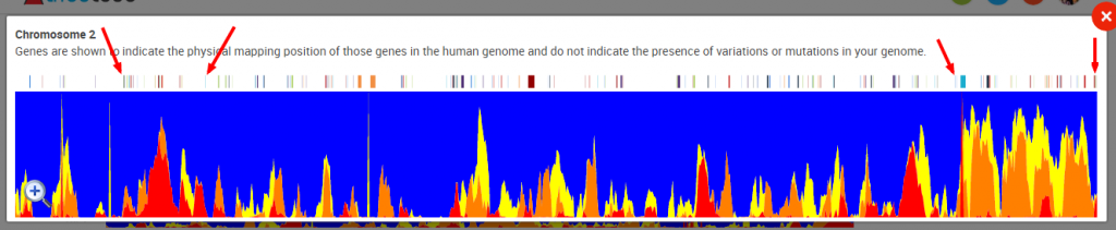 DNA Ancestry55