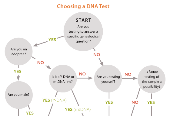 Genomia: Genealogical DNA-tests