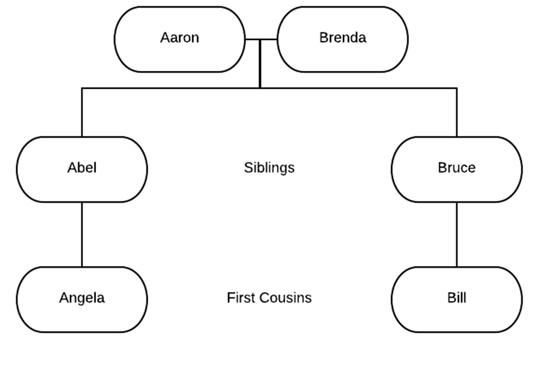 What is a Second Cousin DNA Match? - Who are You Made Of?