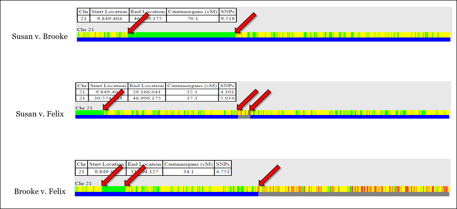 X Marks the Spot  DNAeXplained – Genetic Genealogy