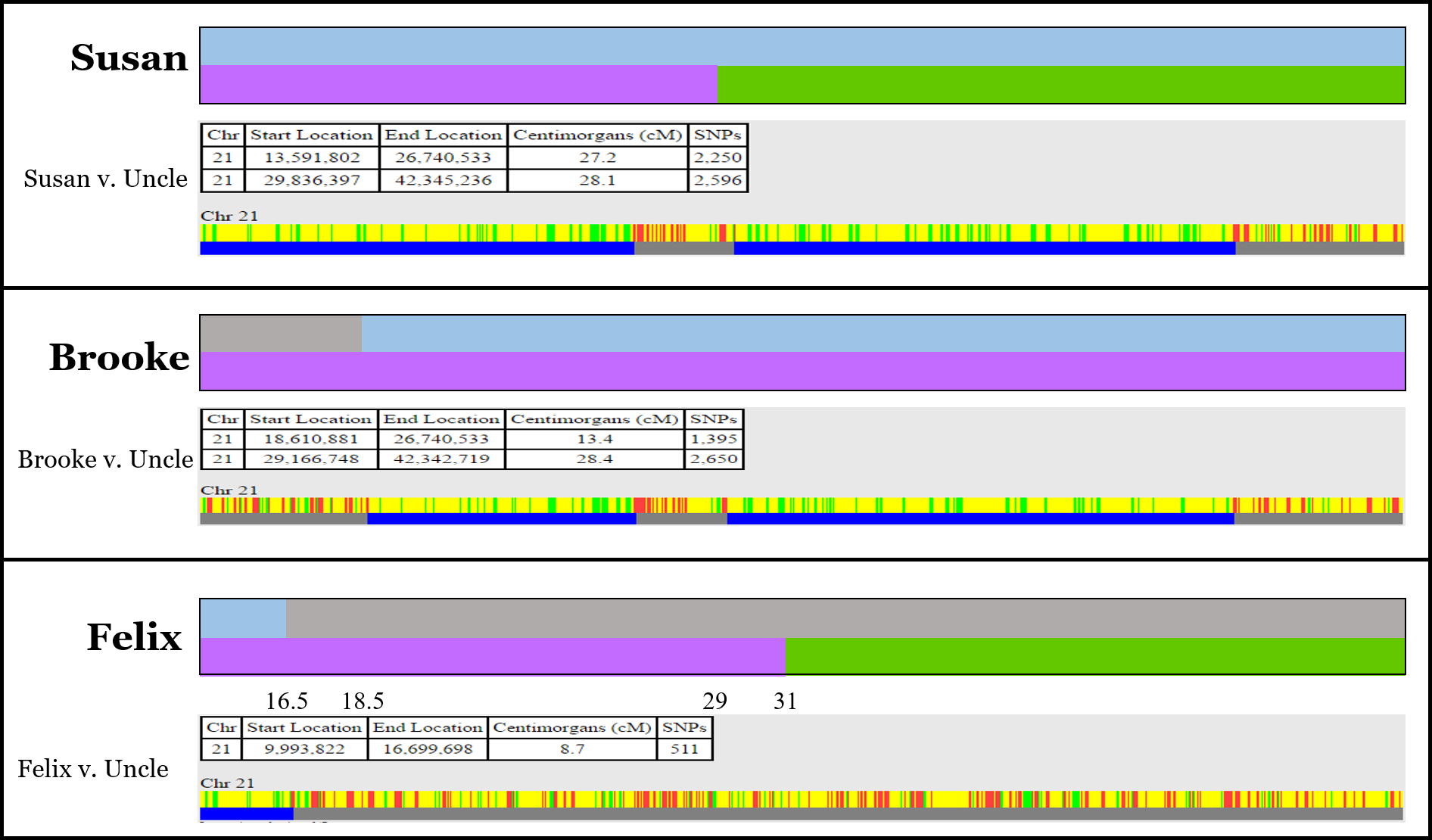 Visual Phasing An Example Part 3 Of 5 The Genetic Genealogist