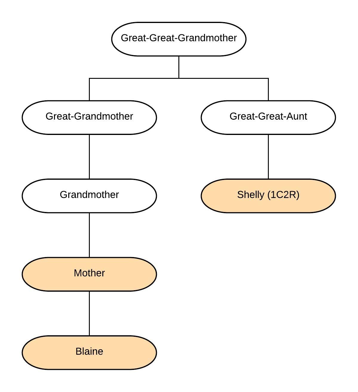 The Blundering DNA Genealogist: Basics: Generations Are Calculated