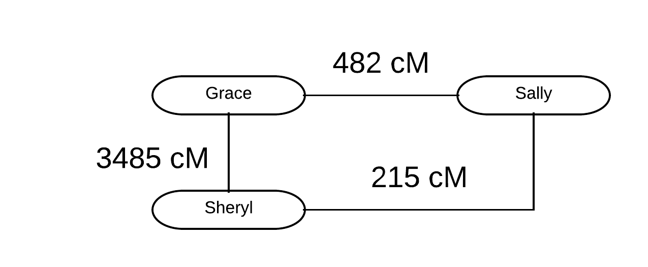 The Blundering DNA Genealogist: Basics: Generations Are Calculated