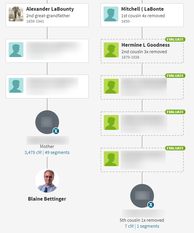 The Blundering DNA Genealogist: Basics: Generations Are Calculated  Differently at GEDmatch and Viewing Trees