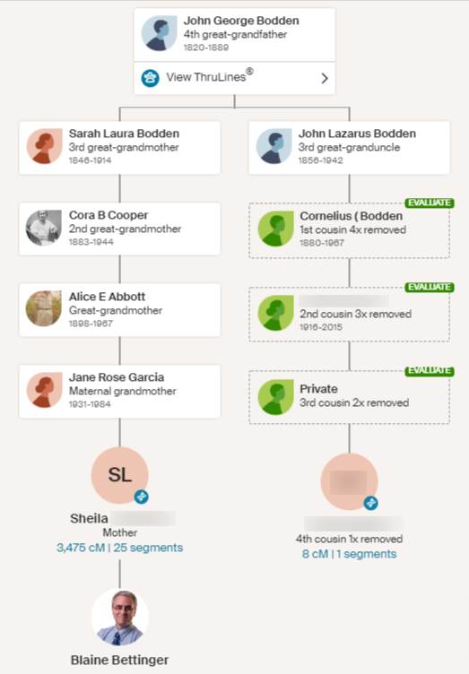 The Blundering DNA Genealogist: Basics: Generations Are Calculated